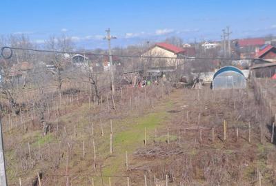 Teren Construcții intravilan de 1200 mp, în Coșoveni - 2