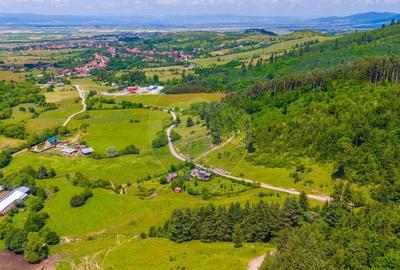 Teren Tarlungeni / Padure / Rau / Liniste / view / 7400mp Teren Tarlungeni / Padure / Rau / Liniste / view / 7400mp - 11