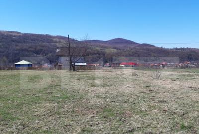 Teren extravilan 1.000 mp Valea Draganului - 1