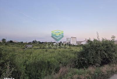 Teren de 23943 mp, în Clinceni - 3