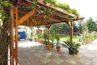 Vila luminoasa cu 8 camere | 593mp teren | langa Scoala Americana - 26