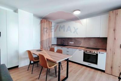 Apartament cu 2 camere nedecomandat, mobilat în Săsar - 1