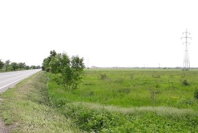 Teren  intravilan Arad - 1