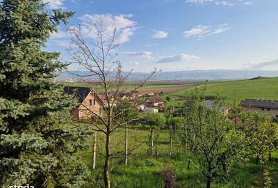 Teren de 1250 mp, în Șura Mare - 14