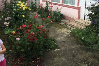 Casă cu 4 camere în Rădulești - 1