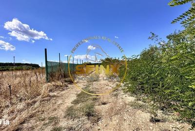 Spațiu comercial, în Corbeanca - 8