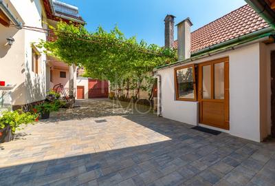 Casa + Pensiune deosebita - Orlat, Sibiu - 55
