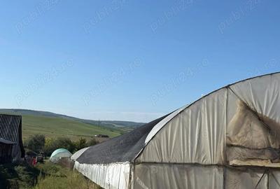 Casă cu 3 camere cu Teren 33 Mp în Cetatea de Baltă - 3