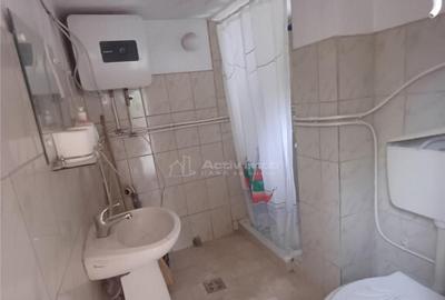 Casa de in Saliste aproape de Transalpina - 4