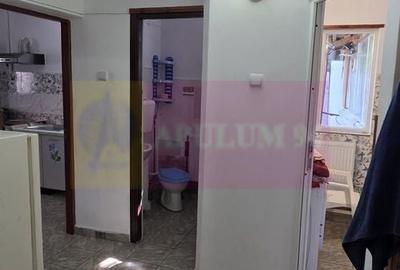 Casă individuală cu 5 camere cu Canalizare în Mislea - 13