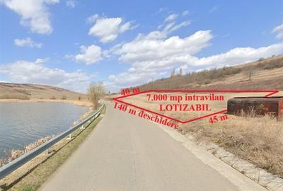 Teren intravilan de 7000 mp, în Găiceana - 2