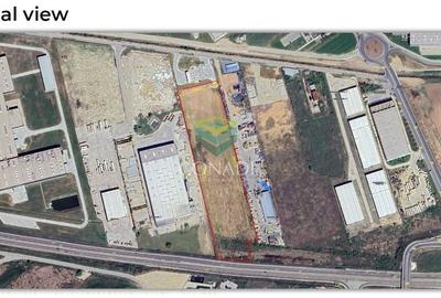 Teren Construcții intravilan de 30994 mp, în Bolintin-Deal - 6