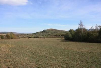 Spațiu comercial, în Drumul Carului - 8