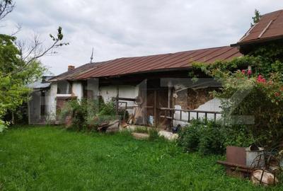 Casa individuala cu crama, teren 6700mp, Plopu - 4