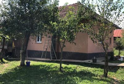 Casă în Teiu - 1