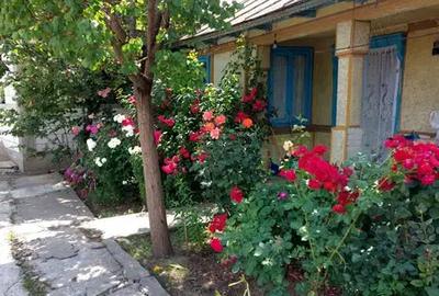Vand casa la rosu si teren T.Vladimirescu,Galati - 1