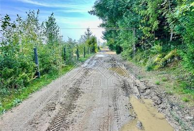 Teren de vanzare - 11200 mp - extravilan - zona turistica - 7