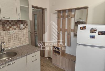 Garsoniera, petfriendly, centrala proprie, Bucovina - 1