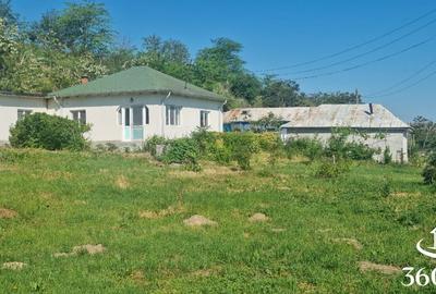 Casă cu 3 camere cu Teren 2400 Mp în Mahmudia - 5