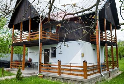 Vanzare vila, Stefesti-Prahova - 27