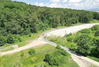 Teren Intravilan parcele 1000mp - 4