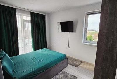 Apartament in Dumbravita - 3