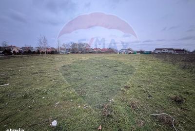 Spațiu comercial, în Alexandriei - 6