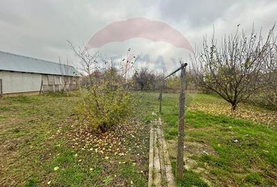 Casa de vanzare cu teren 680mp in Salonta - 10