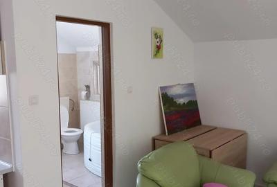 Spa?iu comercial pentru inchiriere. - 3