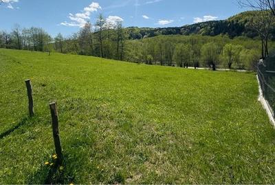 Teren de 1801 mp, în Valea Borului - 2