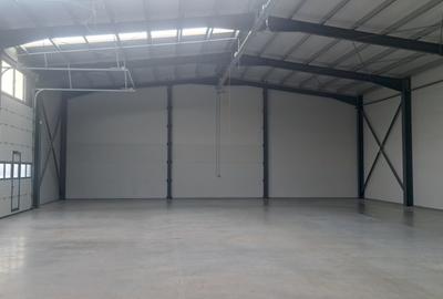 Domnesti - Centura Bucuresti, hala 595 mp, constructie noua. - 1