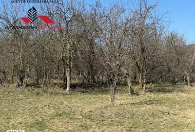 Casă cu 4 camere în Pârău lui Mihai - 19