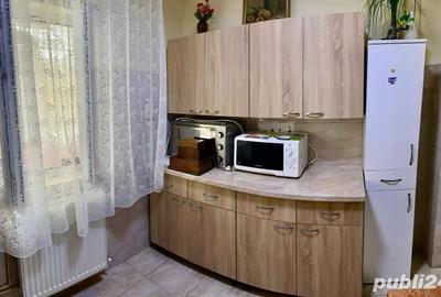 Apartament cu 2 camere decomandat în Banu Mărăcine - 8