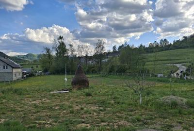 Teren Construcții intravilan de 2000 mp, în Călinești - 1