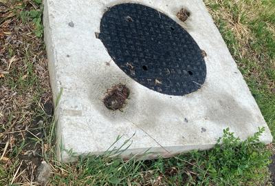 Islaz - Branesti - teren 1374mp - canalizare - gaze - curent - asfalt - 6