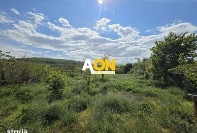 Casă cu 2 camere cu Teren 1100 Mp în Șona - 4