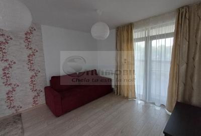 Casă 4 camere - 115 mp, cu teren 100 mp - Valea Adanca-850 Euro - 4