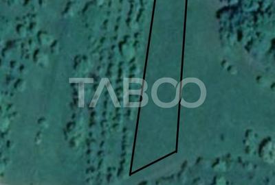 Teren pretabil cabana sau gradina 1670 mp zona deosebita Sibiel - 1