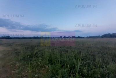 Teren aproape de Bucuresti langa padure intre case - 5