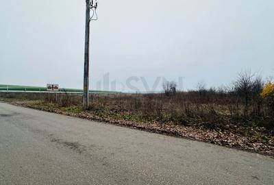 REL4001232 Teren de vanzare in Corbeanca - 2