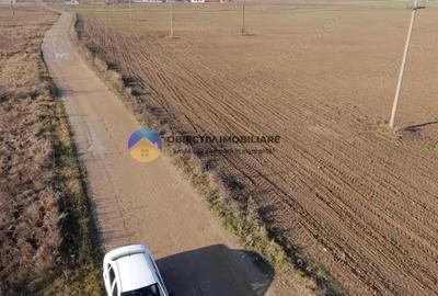 Teren investi?ie intravilan 3600 mp Dumbrava Ro?ie - 2