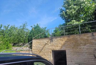 Casă cu 3 camere în Buziaș - 9