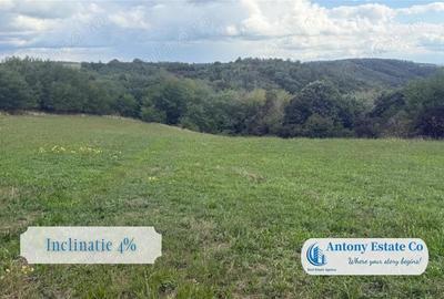 Teren extravilan, de vanzare, Uileacu de Cris, Bihor - 3