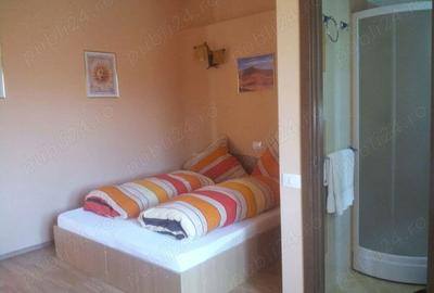 Vila 7 camere Ghimbav - 3