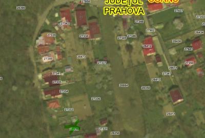 Oportunitate investie teren cu proiect 650 mp Cornu de Sus - 4