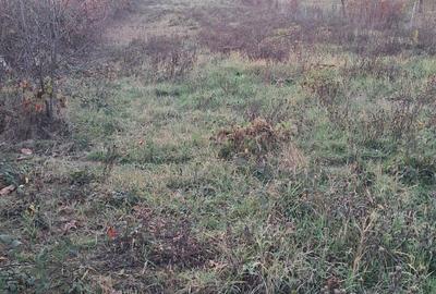 Spațiu comercial, în Est - 5