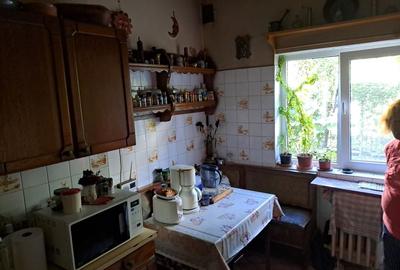 Cotroceni-Parcul Romniceanu, singur curte, garaj, curte generoasa - 16
