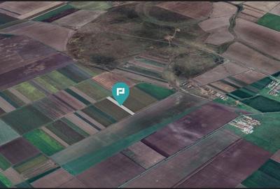Teren extravilan de 14.500 mp în Caporal Alexa - 5