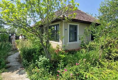 Casă cu 3 camere cu Teren 1853 Mp în Devesel - 6