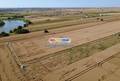 Teren Construcții intravilan de 328 mp, în Berceni - 18